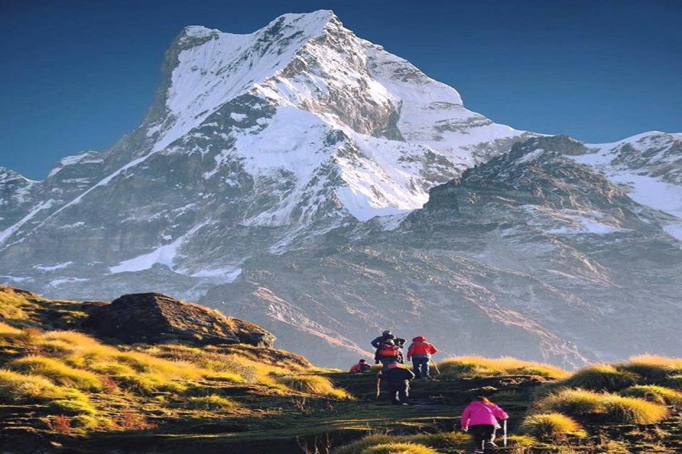 Mardi HImal trek 