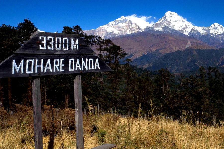 Mohare Danda Trek in the Annapurna Region